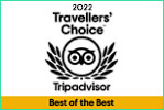 trip advisor 2022 best of best